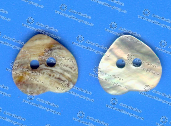 Ningbo sunshine import and export co., ltd. | abnormity shell button b