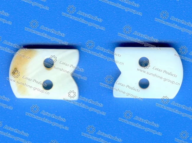 Ningbo sunshine import and export co., ltd. | abnormity shell button d