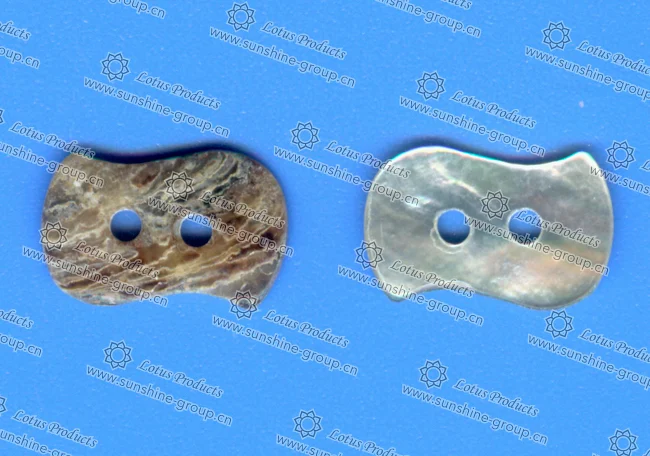 Ningbo sunshine import and export co., ltd. | abnormity shell button g