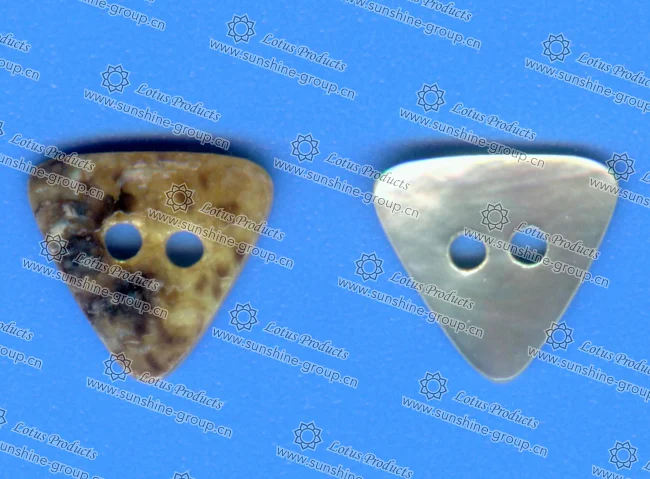 Ningbo sunshine import and export co., ltd. | abnormity shell button j