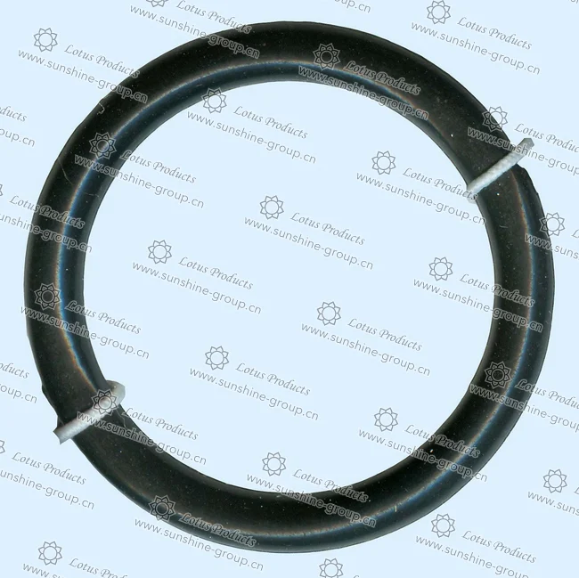 Ningbo sunshine import and export co., ltd. | bag buckle (26)