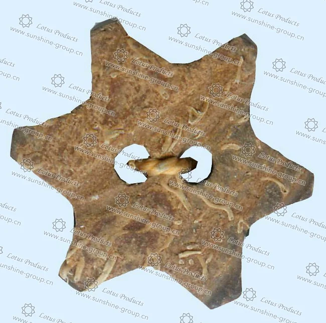 Ningbo sunshine import and export co., ltd. | coconut button (4)