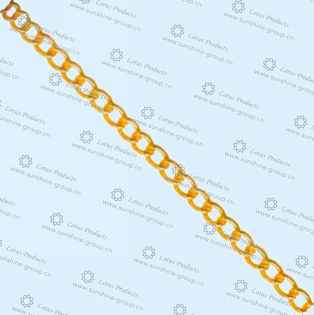 chain - Ningbo Sunshine chain - Ningbo Sunshine