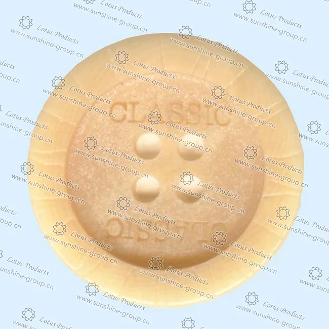 Ningbo sunshine import and export co., ltd. | plastic button (13)