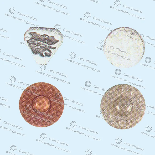 Ningbo sunshine import and export co., ltd. | rivet (2)