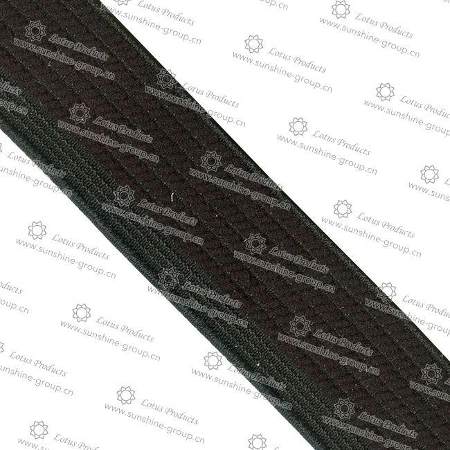 Ningbo sunshine import and export co., ltd. | elastic band (14)