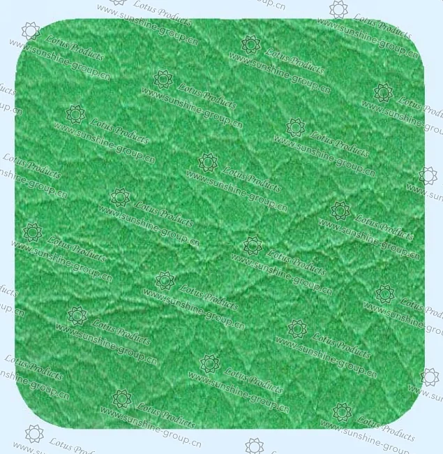Ningbo sunshine import and export co., ltd. | leather 01