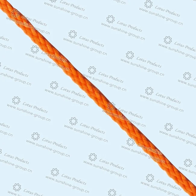 Ningbo sunshine import and export co., ltd. | cotton rope - p168
