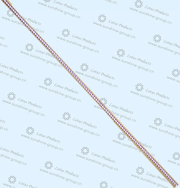 Ningbo sunshine import and export co., ltd. | elastic cord (19)