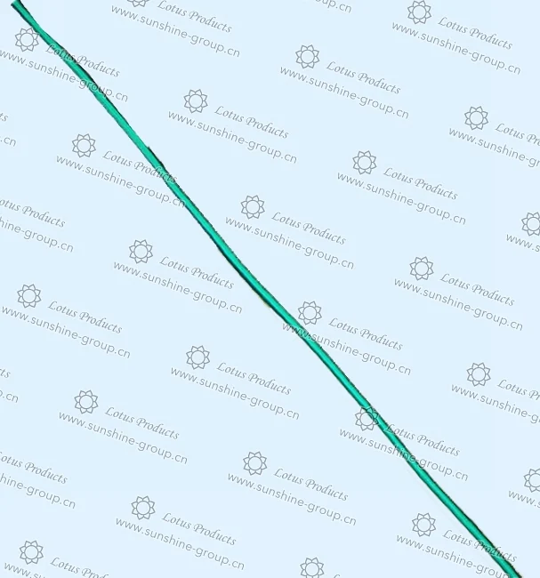 Ningbo sunshine import and export co., ltd. | elastic cord (22)