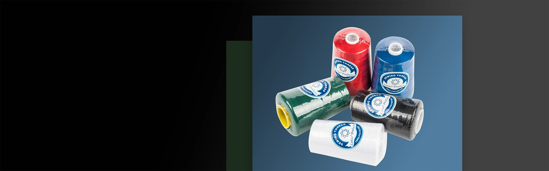 Ningbo sunshine import and export co., ltd.