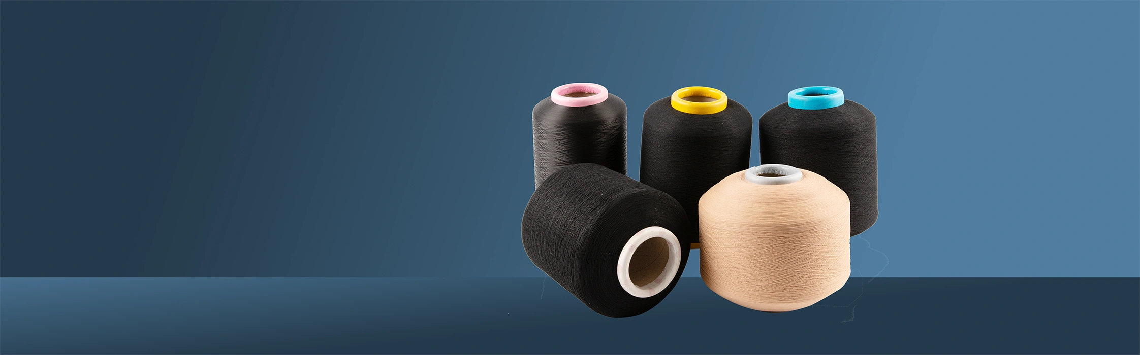 Ningbo sunshine import and export co., ltd.