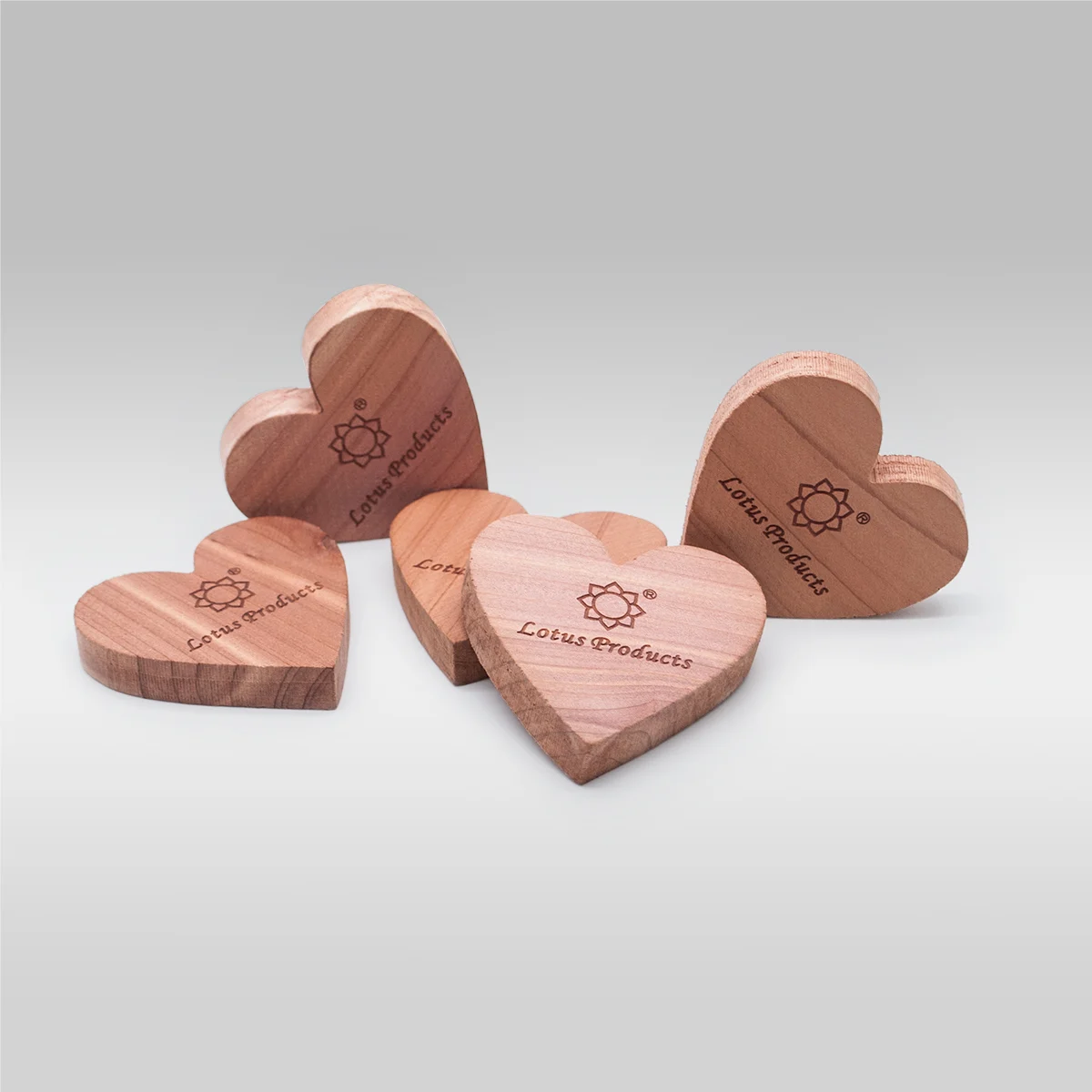Ningbo sunshine import and export co., ltd.