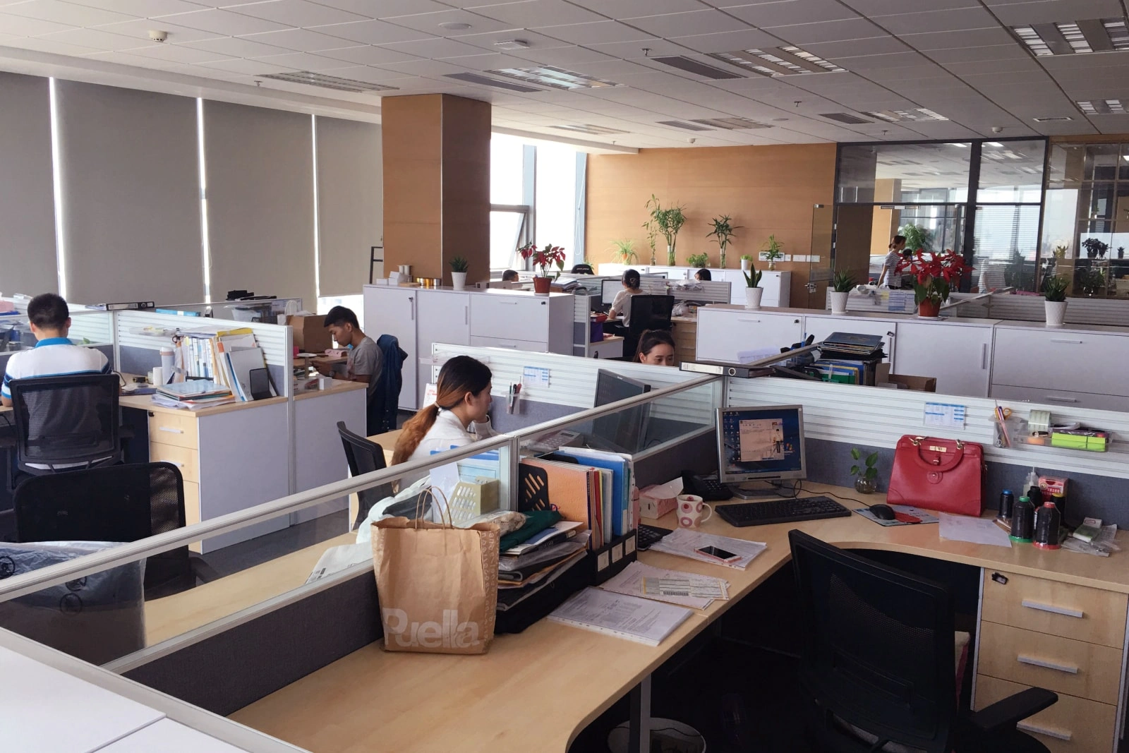 ningbo_sunshine_company_information_photos18-tuya Ningbo sunshine import and export co., ltd.